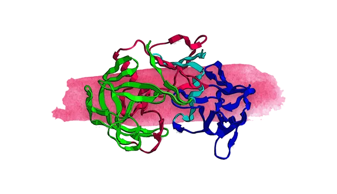Protease 4.5 (Aspergillus oryzae)