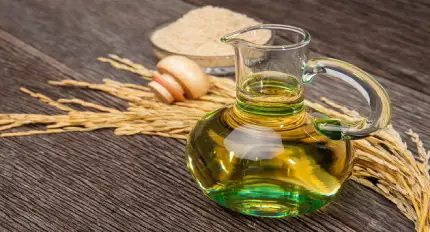 Rice Bran and Germ Oil